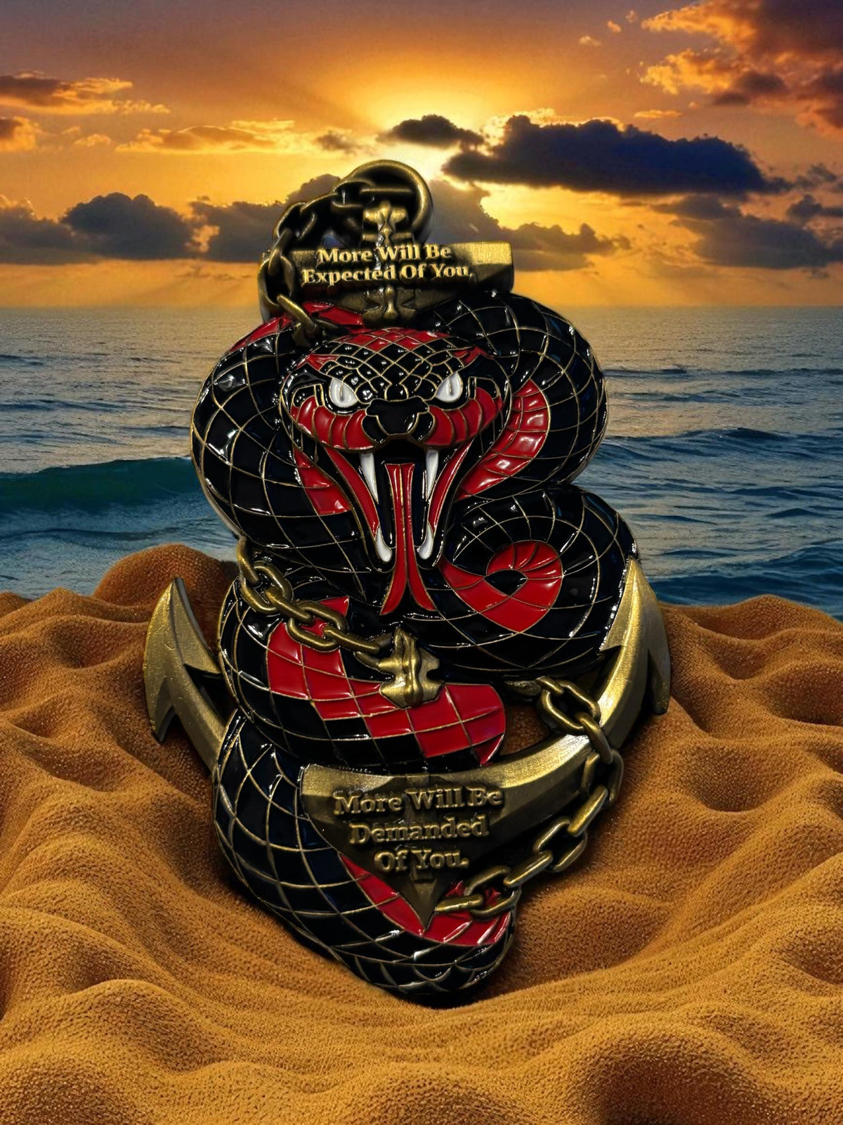 Navy Chief Coin Class 132