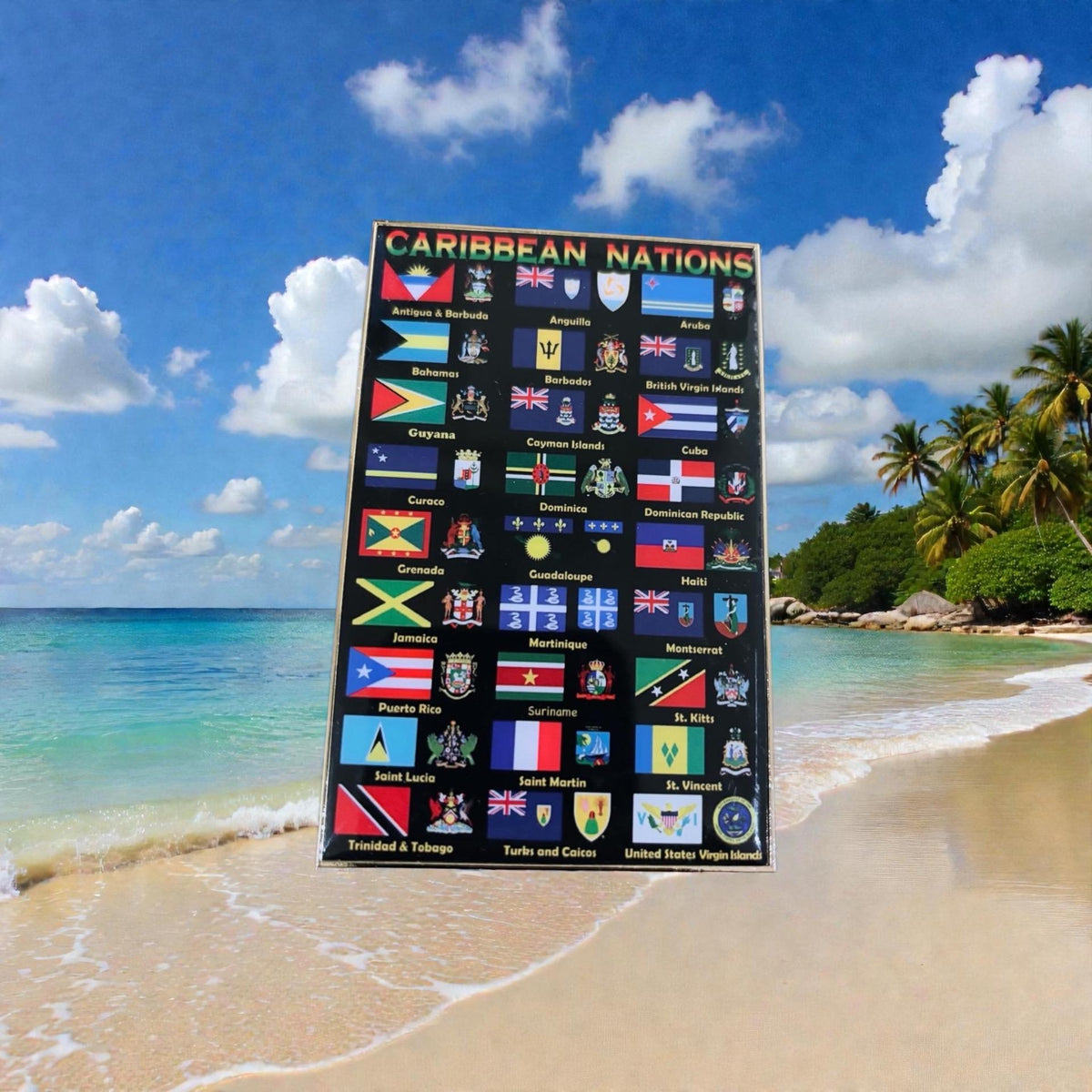 Caribbean Military Pride Coin